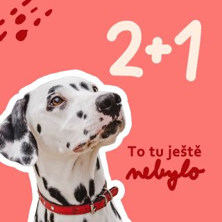 Už víš, že místo klasického klikru, který musíš odkládat do kapsy nebo se ti houpe na zápěstí, ti teď stačí jeden slušivý...